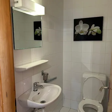 Fontanettaz V 015 - Mountain 6 Pers 베이소나츠